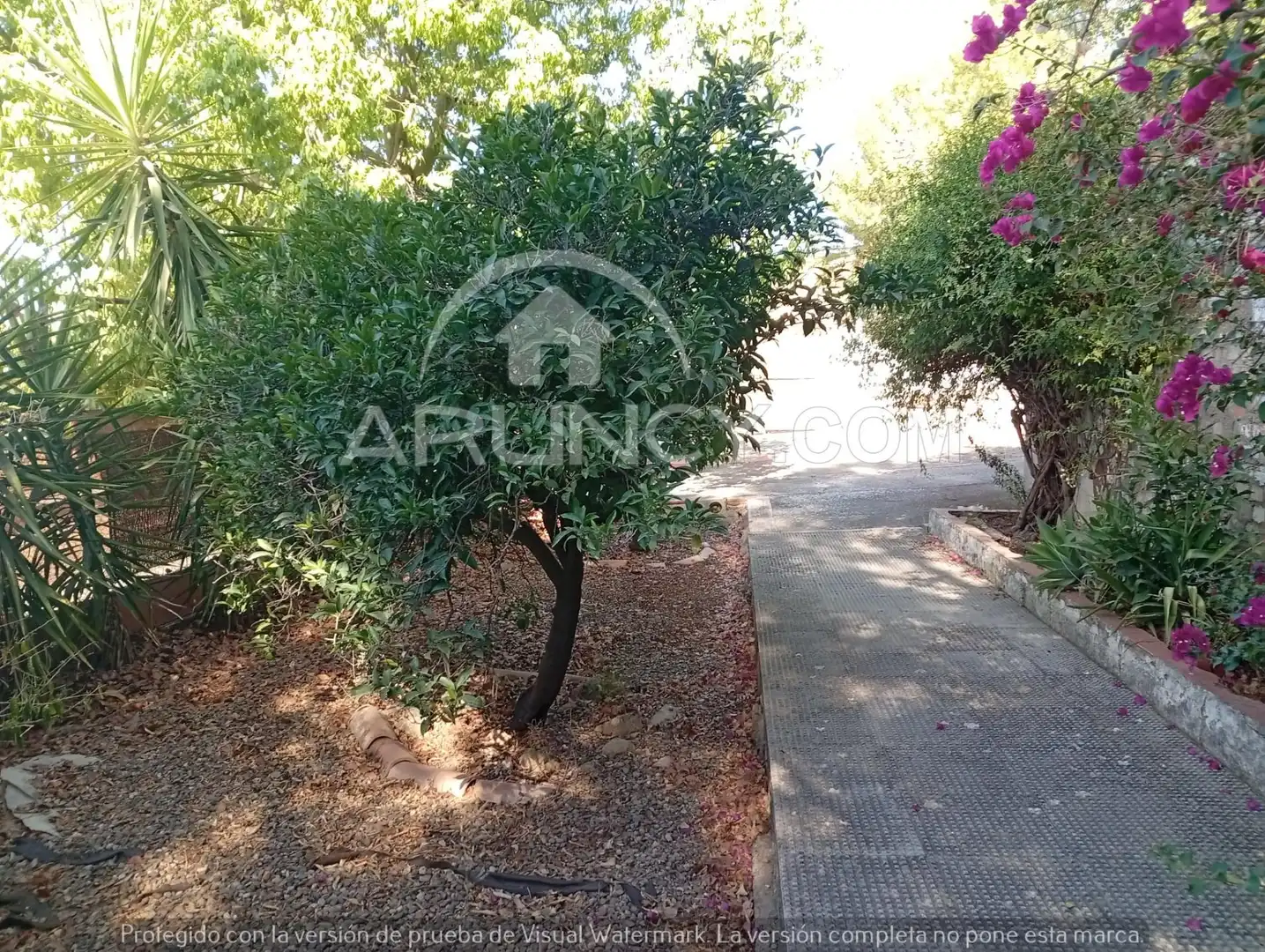 Vista exterior de Finca rústica en venda en Alcalá de Guadaira amb Aire condicionat, Jardí privat i Terrassa