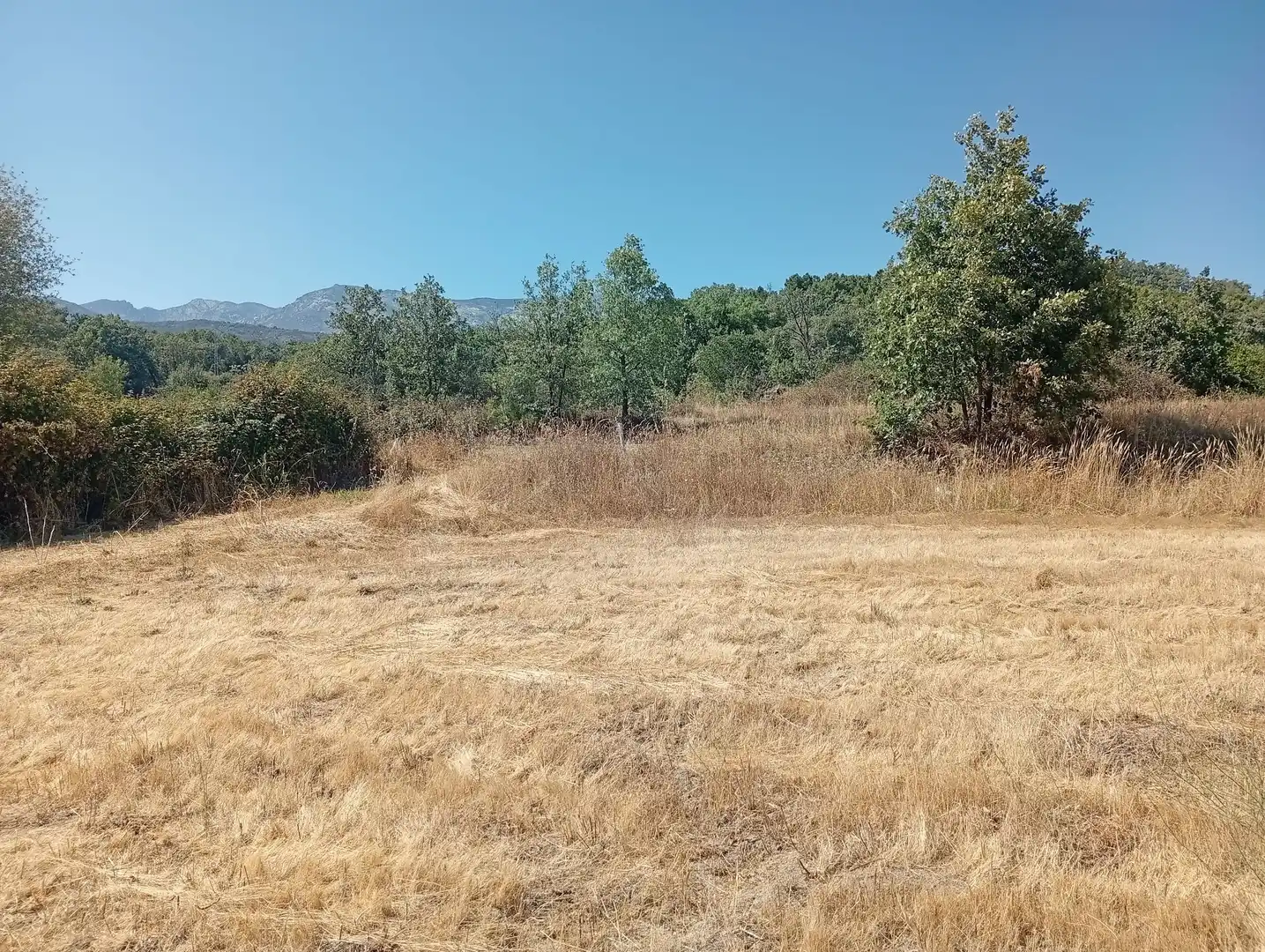 Terreni e lotti in vendita a Villanueva de la Vera, imagen 6