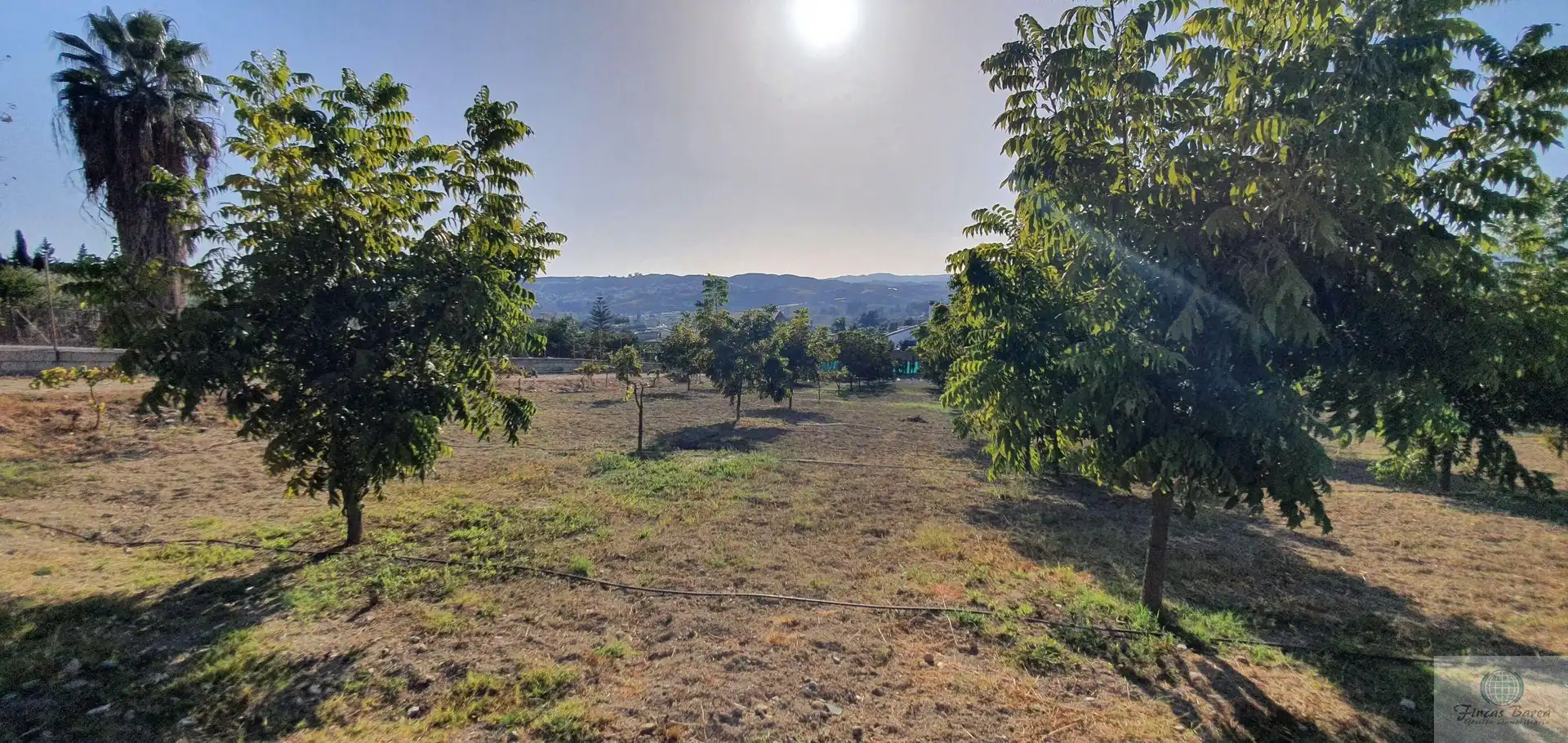 Casa rústica en venda a Campo de Mijas, imagen 32