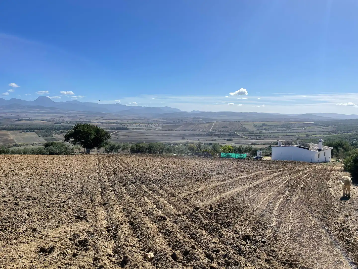 Terreno rustico in vendita a Arcos de la Frontera, imagen 16