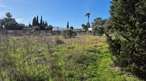 Foto 5 de Terreno en venta en Zahora, Barbate