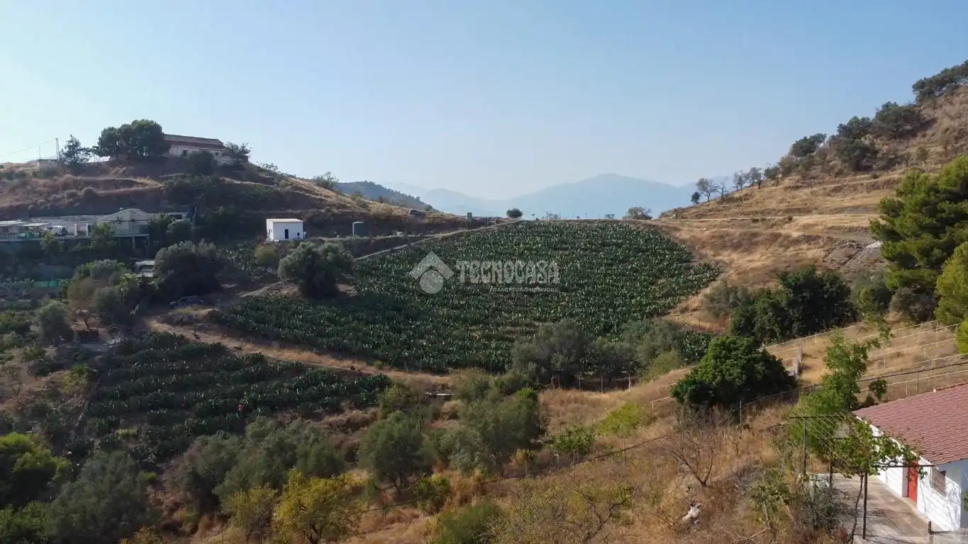 Terreny rústic en venda a Vélez-Málaga ciudad, imagen 4