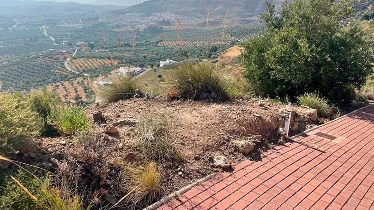 Lands and plots for sale in Bobadilla - Bobadilla Estación - La Joya, imagen 7