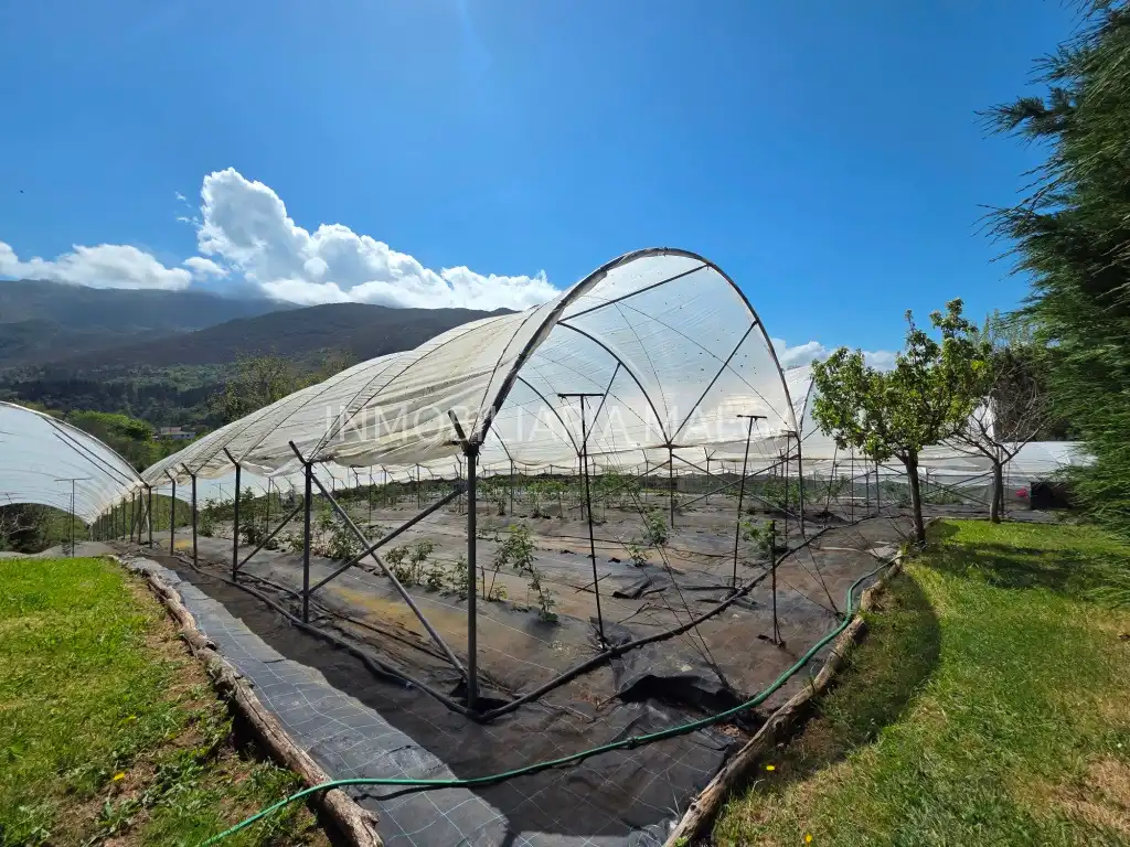 Jardí de Casa o xalet en venda en Colunga amb Calefacció, Jardí privat i Parquet