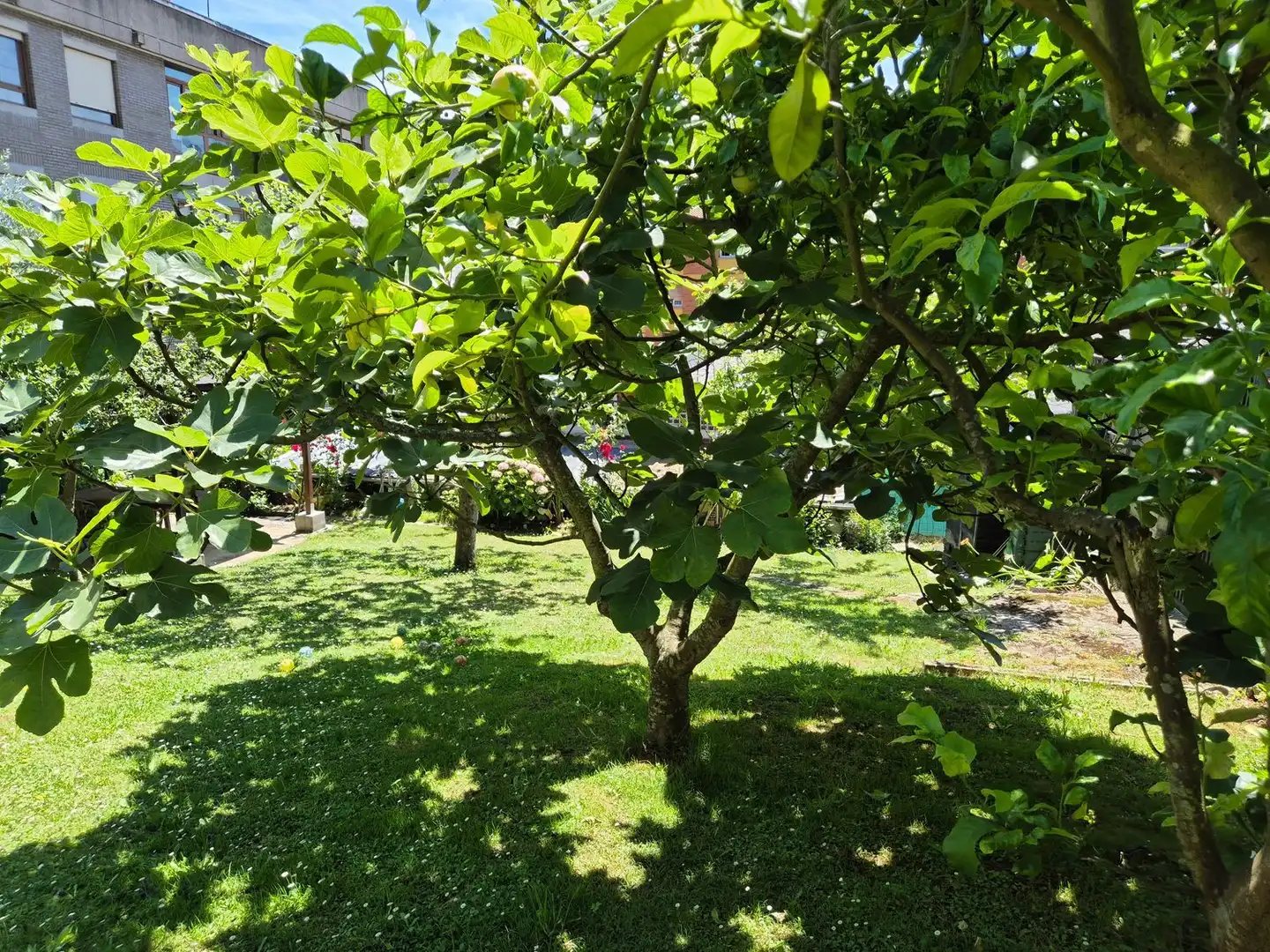 Garden of Houses for sale in Carreño  with Heating, Terrace and Storage room