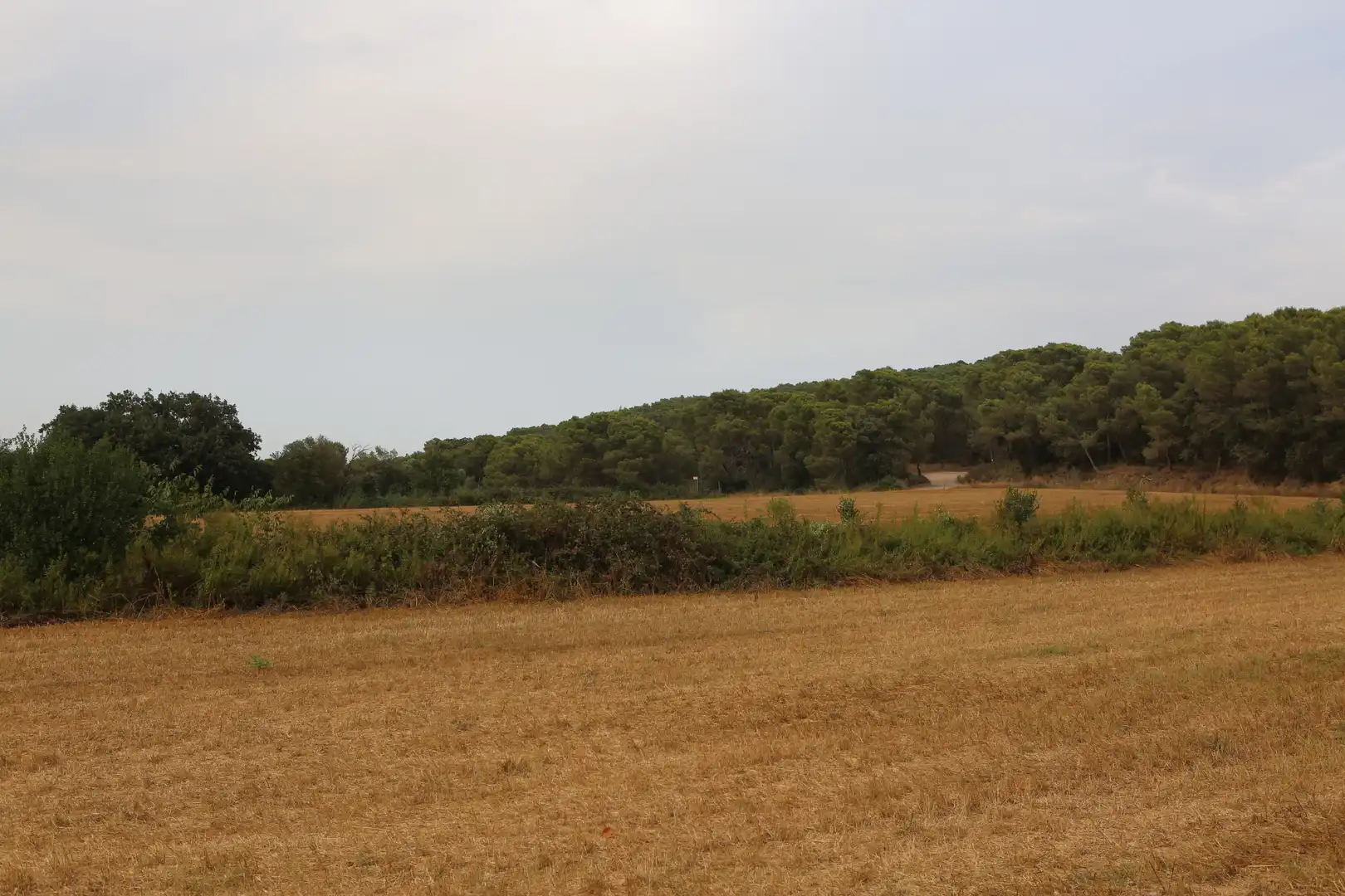 Finca rústica en venda en Begur amb Jardí privat
