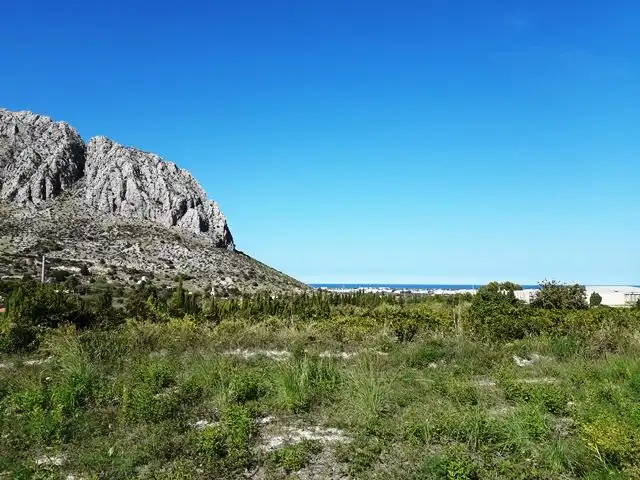 Terreny rústic en venda a Ondara