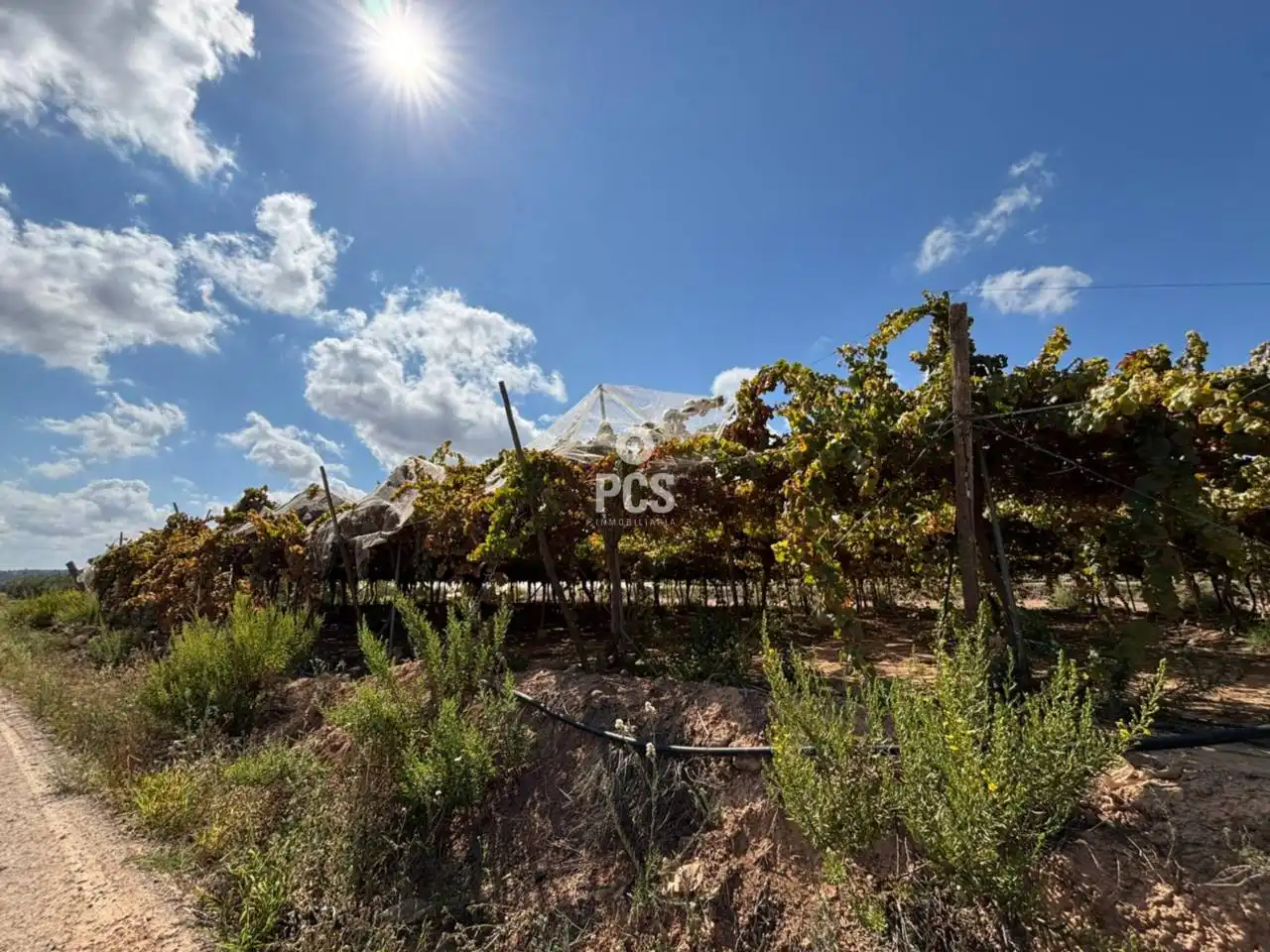 Parral en venta en Totana, imatge 3