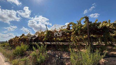 Parral en venta en Totana, imatge 3