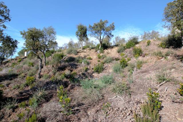 Terreno residencial en Venta en Avet, 21 en Mas Pere - Río de Oro