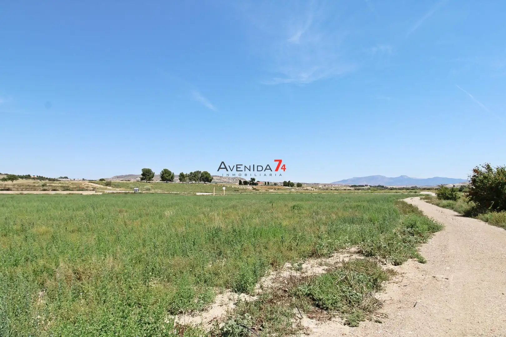 Terrains et parcelles à vendre à Lorca Ciudad, imagen 14