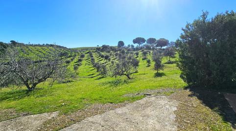 Foto 2 de Casa o xalet en venda a Villaviciosa de Córdoba, Córdoba