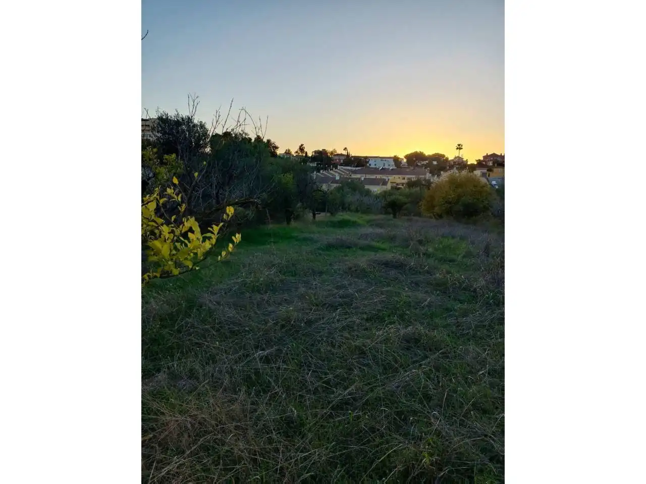 Terreno rustico in vendita a Calle montesol 50, imagen 12