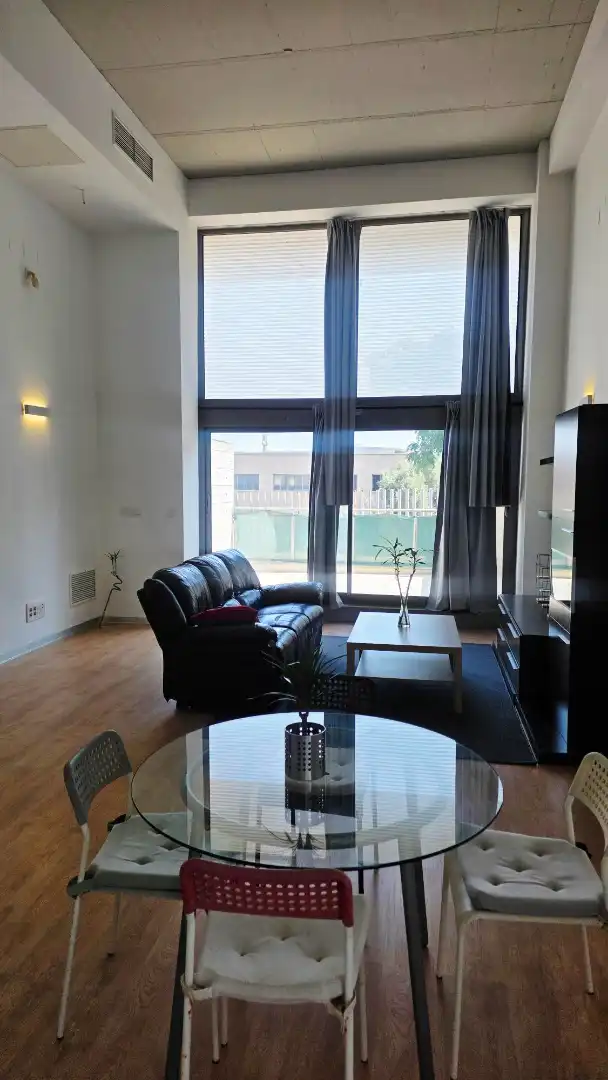Lofts for sale in Carrer de la Creu Roja, Vara de Quart