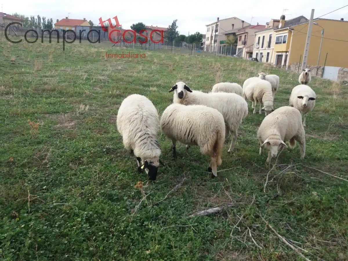 Terreni e lotti in vendita a Calle sol, imagen 8