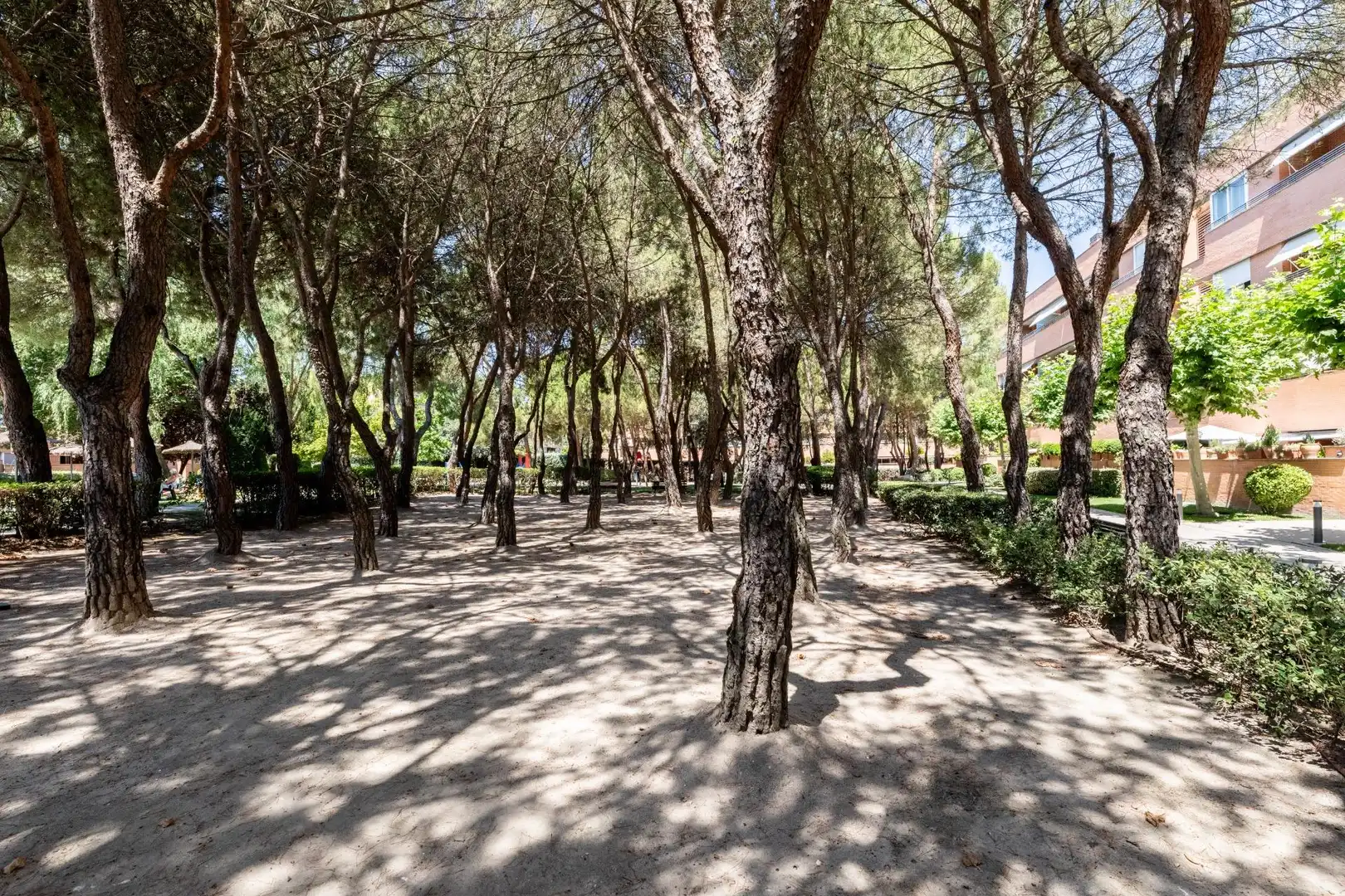 Exterior view of Flat for rent in Pozuelo de Alarcón  with Air Conditioner, Heating and Private garden