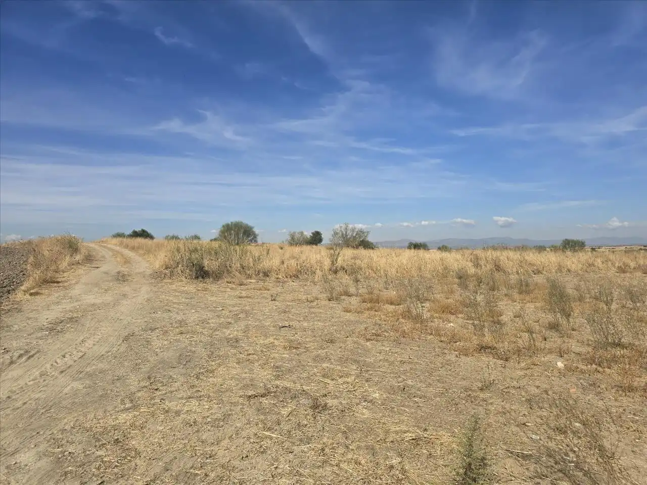 Terreny residencial en venda a Polígono 51 Parcela 73, imagen 18