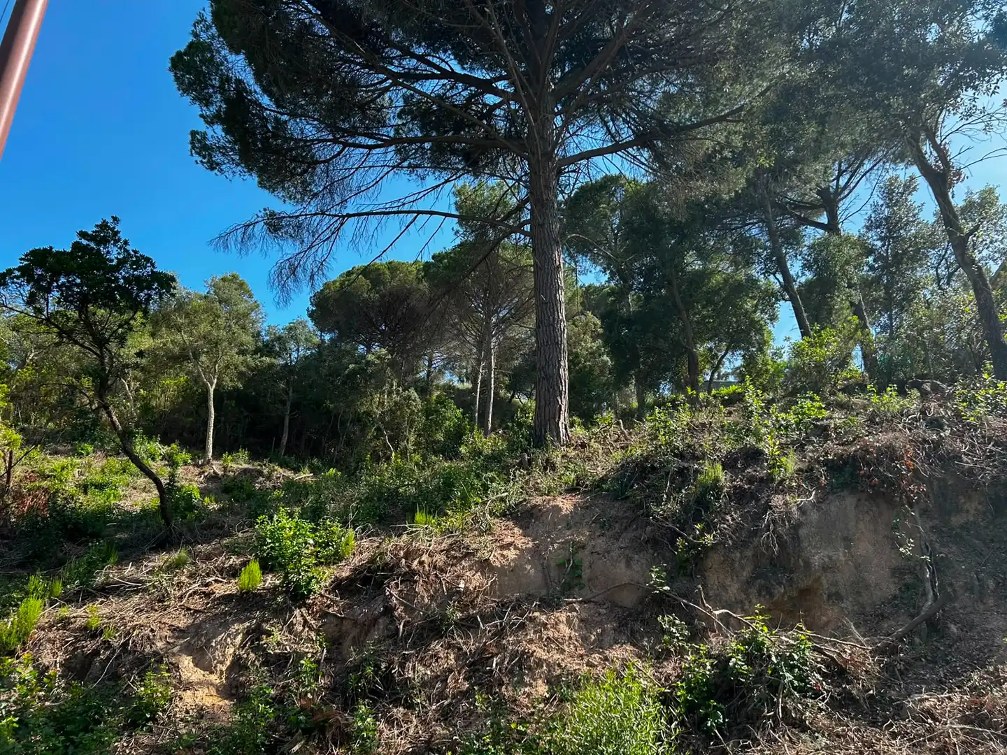 Wohnbaugrundstück zum Verkauf in Lloret Residencial - Montlloret
