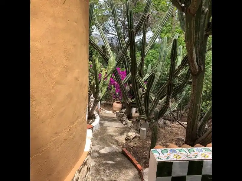 Jardín de Casa o chalet en venta en Palma de Gandia con Aire acondicionado, Jardín privado y Terraza