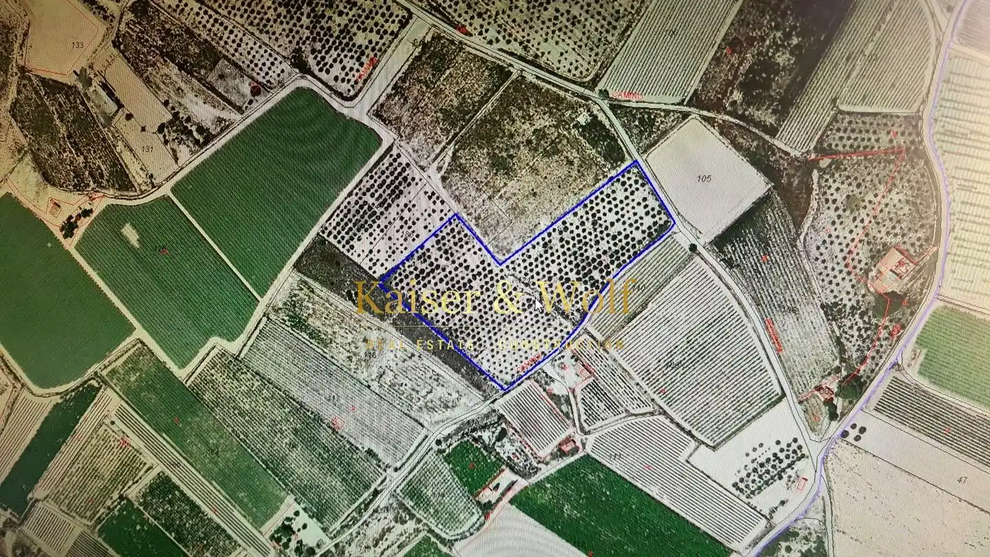 Terrenos y solares en venta en Monforte del Cid