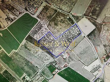 Terreni e lotti in vendita a Monforte del Cid
