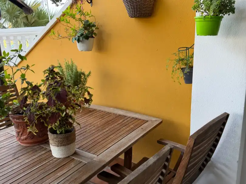 Terrassa de Casa o xalet en venda en El Ejido amb Aire condicionat, Jardí privat i Terrassa