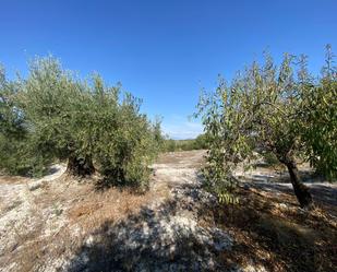 Residencial en venda en Moratalla
