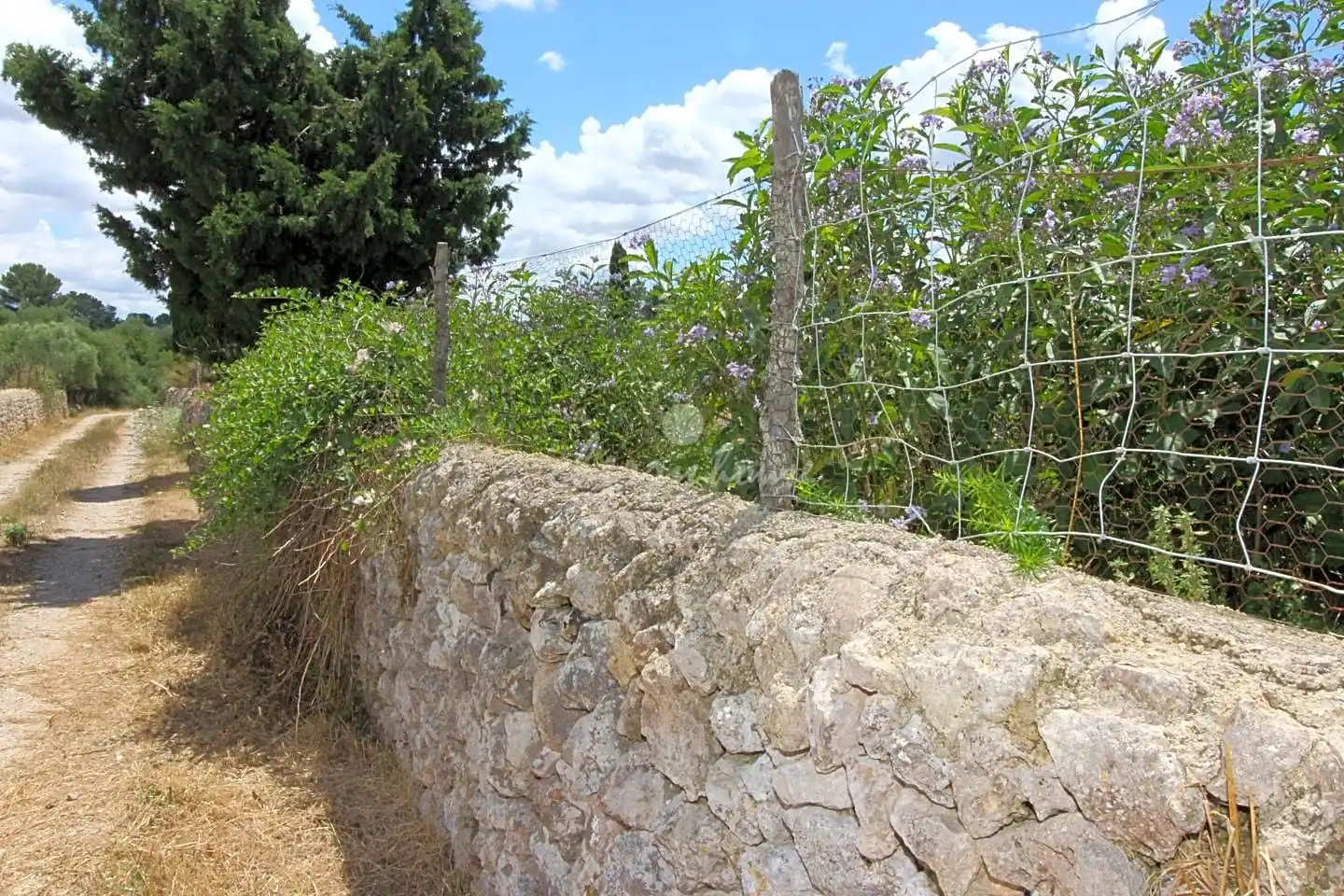 Maison rustique à vendre à lloret de vista alegre, imagen 18