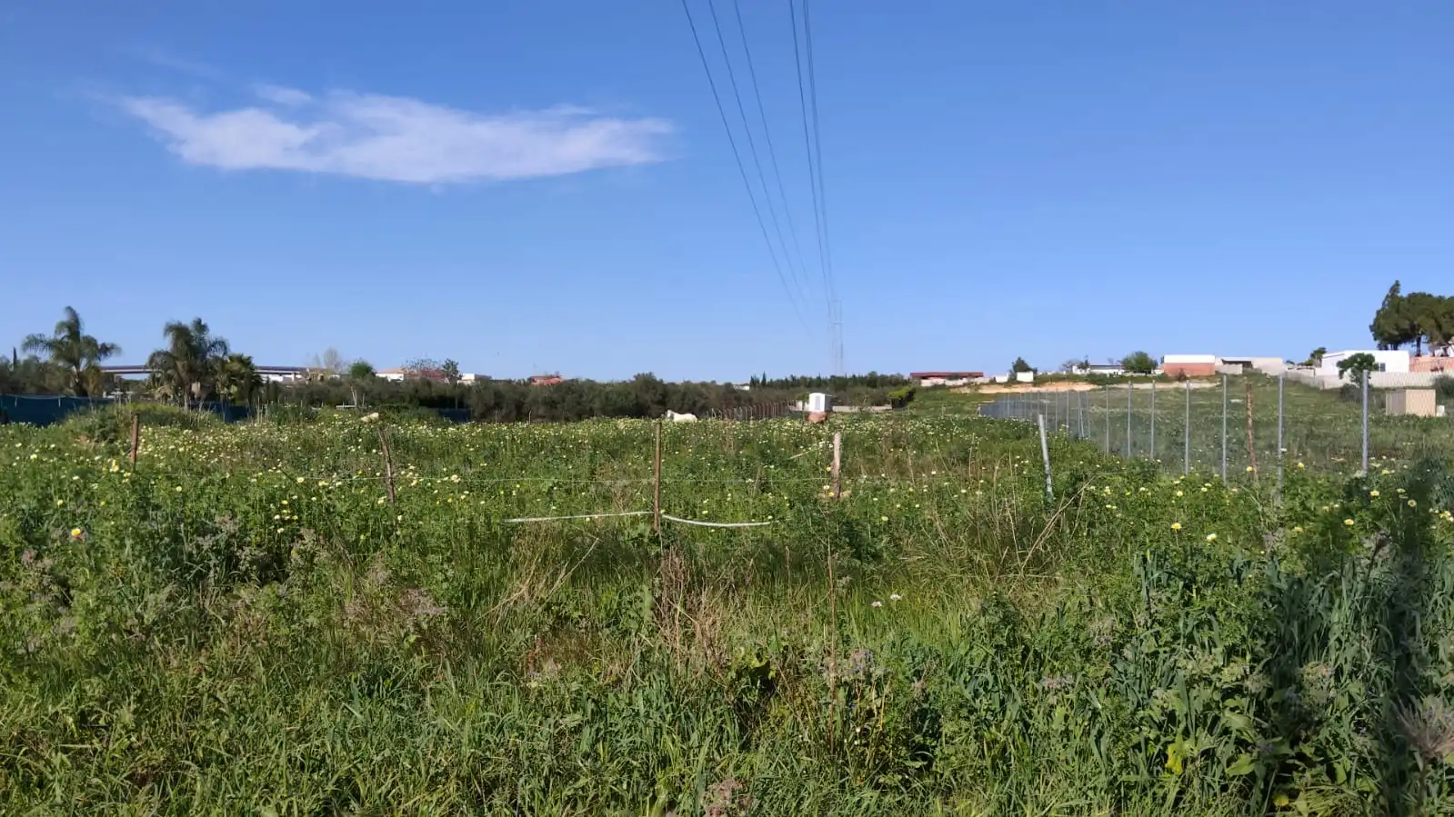 Rural land for sale in Coria del Río, imagen 6