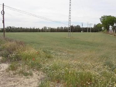 Rustikales Grundstück zum Verkauf in Camino de Fuentidueña a la Barca 29