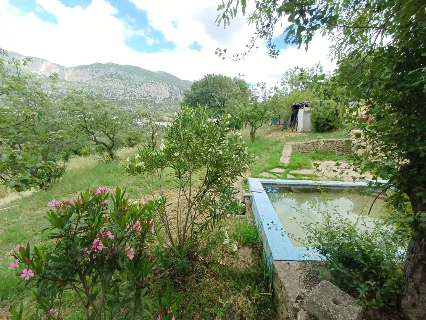 Garden of Residential for sale in Ubrique