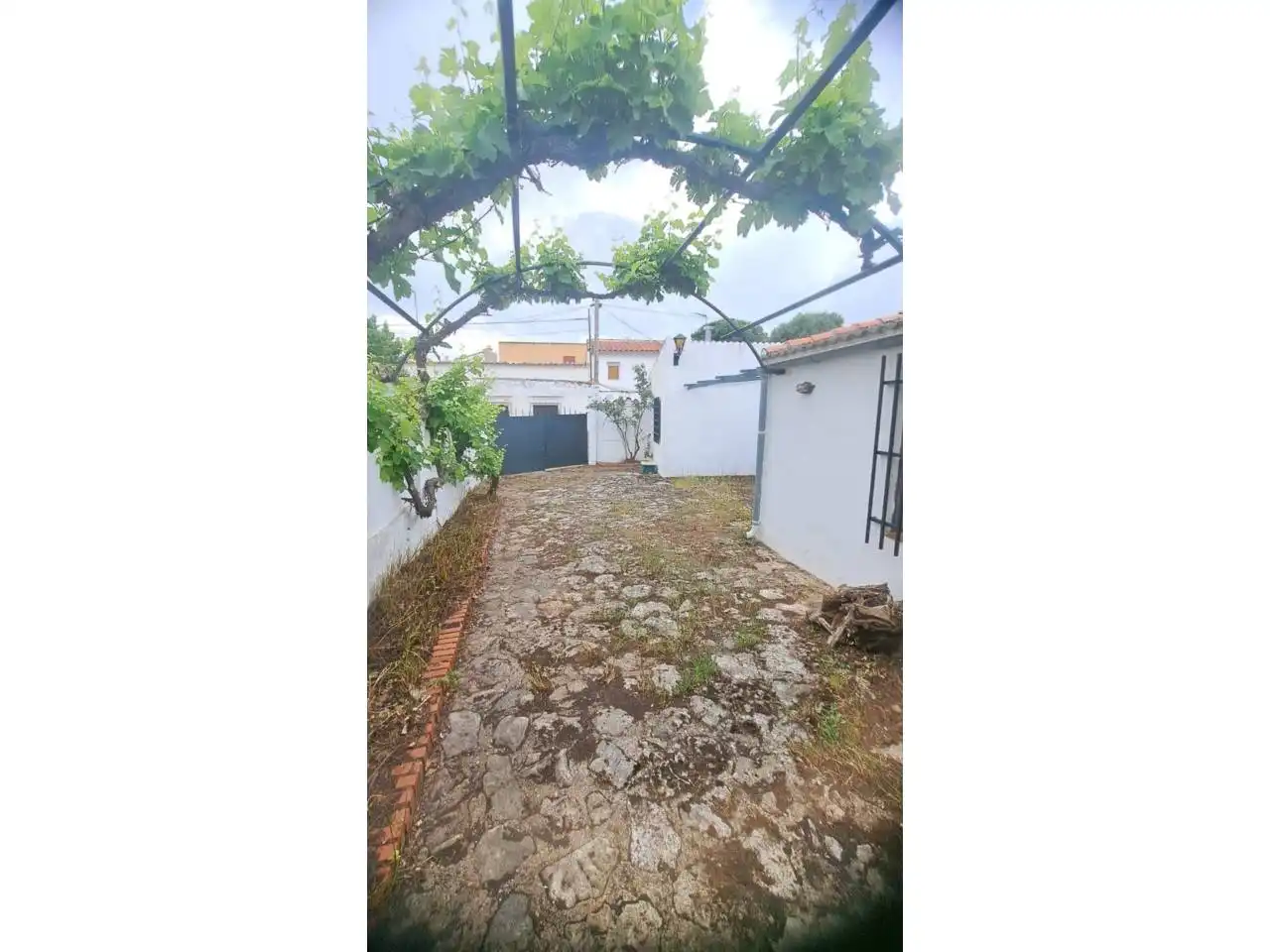 Vista exterior de Casa o chalet en venta en Vianos con Calefacción y Terraza