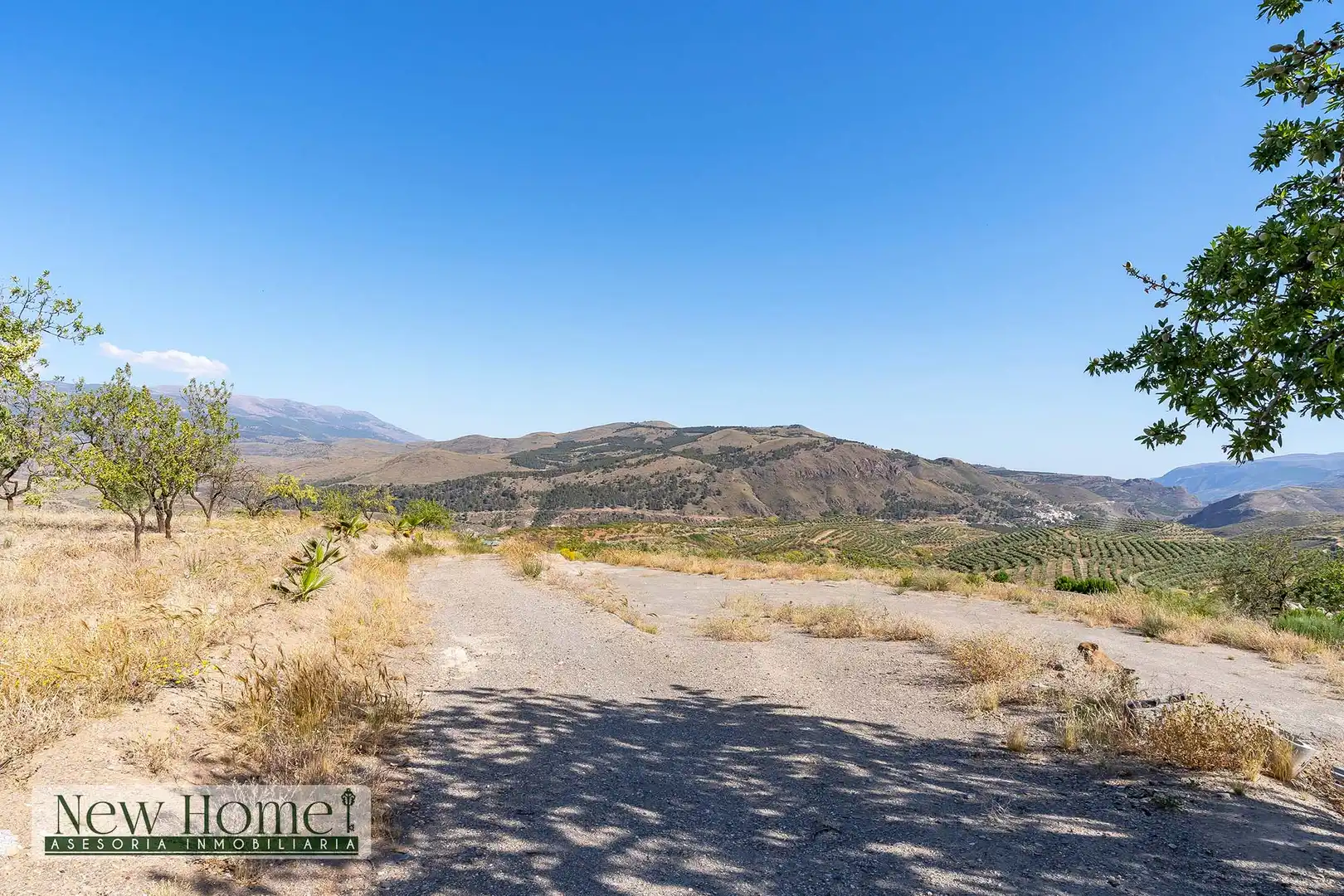 Finca rústica en venta en Ugíjar