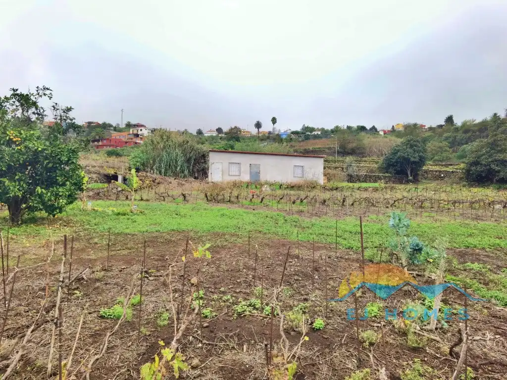 Houses for sale in La Orotava