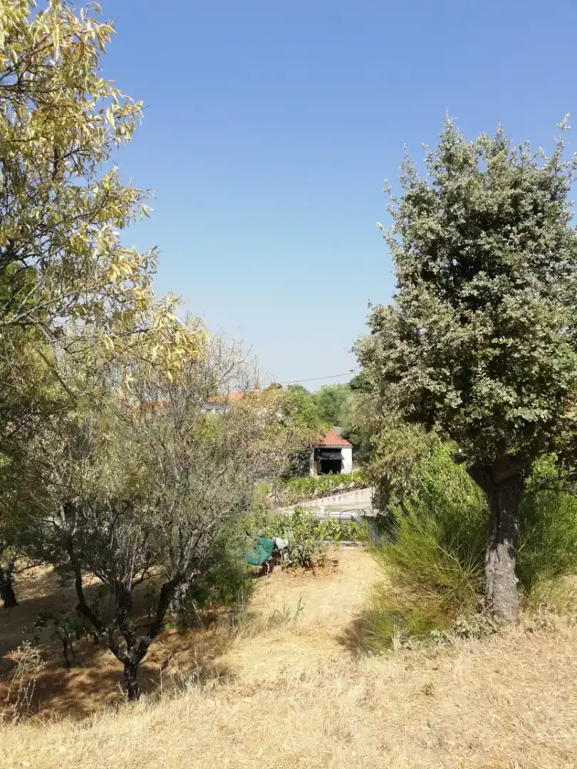 Finca rústica en venda en Plasencia amb Jardí privat, Traster i Piscina