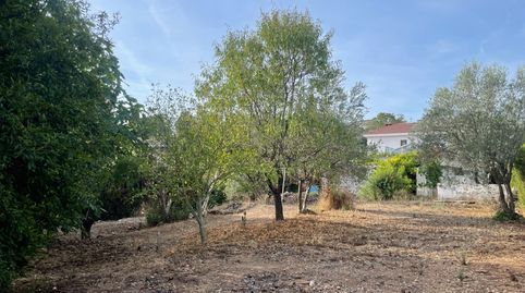 Foto 4 de Residencial en venda a Calle Castillo Cabrer, 494, Cabrera d'Anoia, Barcelona