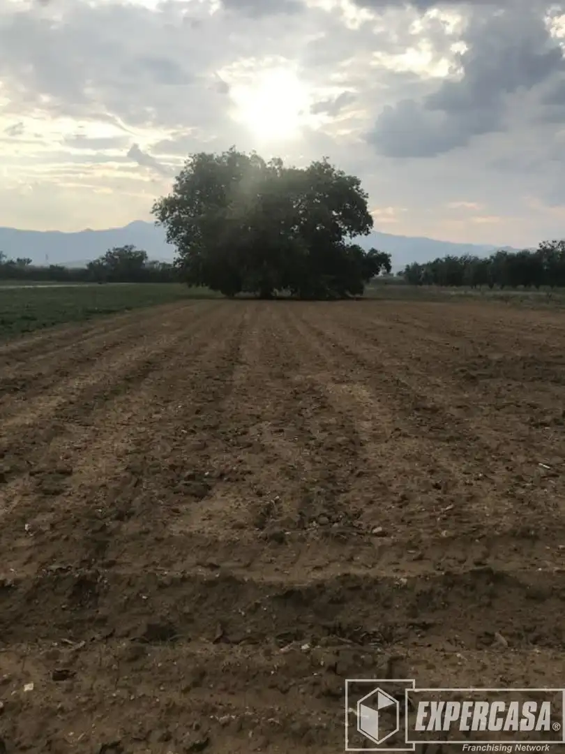 Terreni e lotti in vendita a Segorbe
