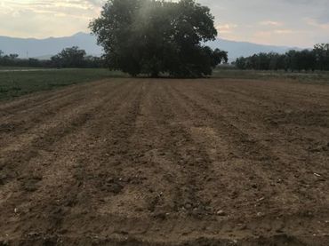 Terreni e lotti in vendita a Segorbe