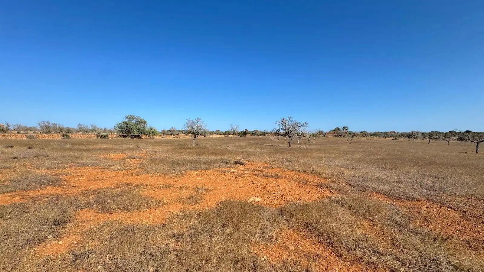 Wohnbaugrundstück zum Verkauf in Ses Salines Poble, imagen 14