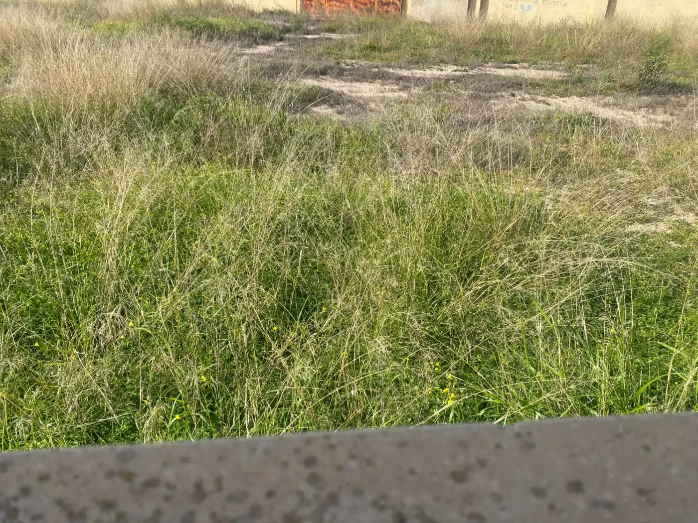Terreno residencial en venta en Elche ciudad, imagen 20