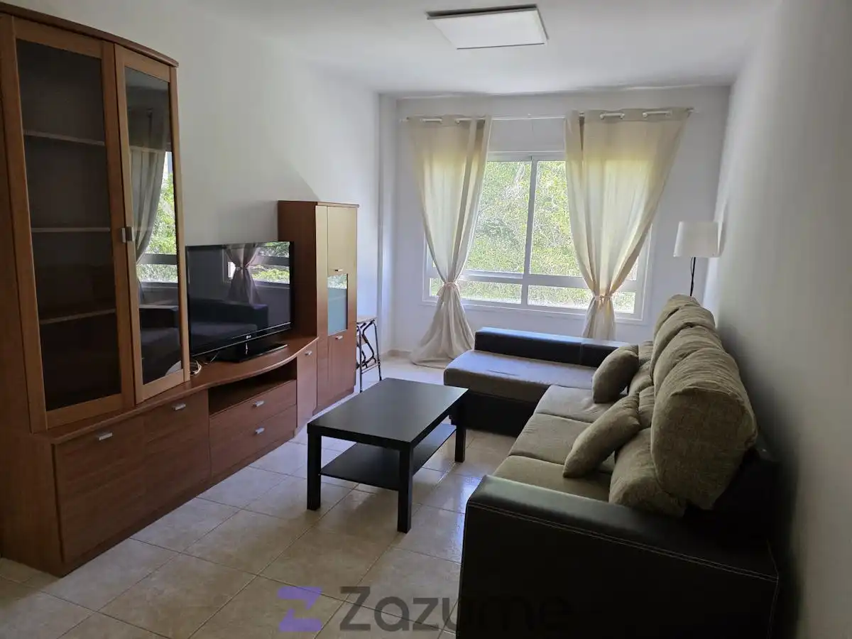 Sala de estar de Piso de alquiler en Santa Cruz de Tenerife con Terraza, Horno y Lavadora