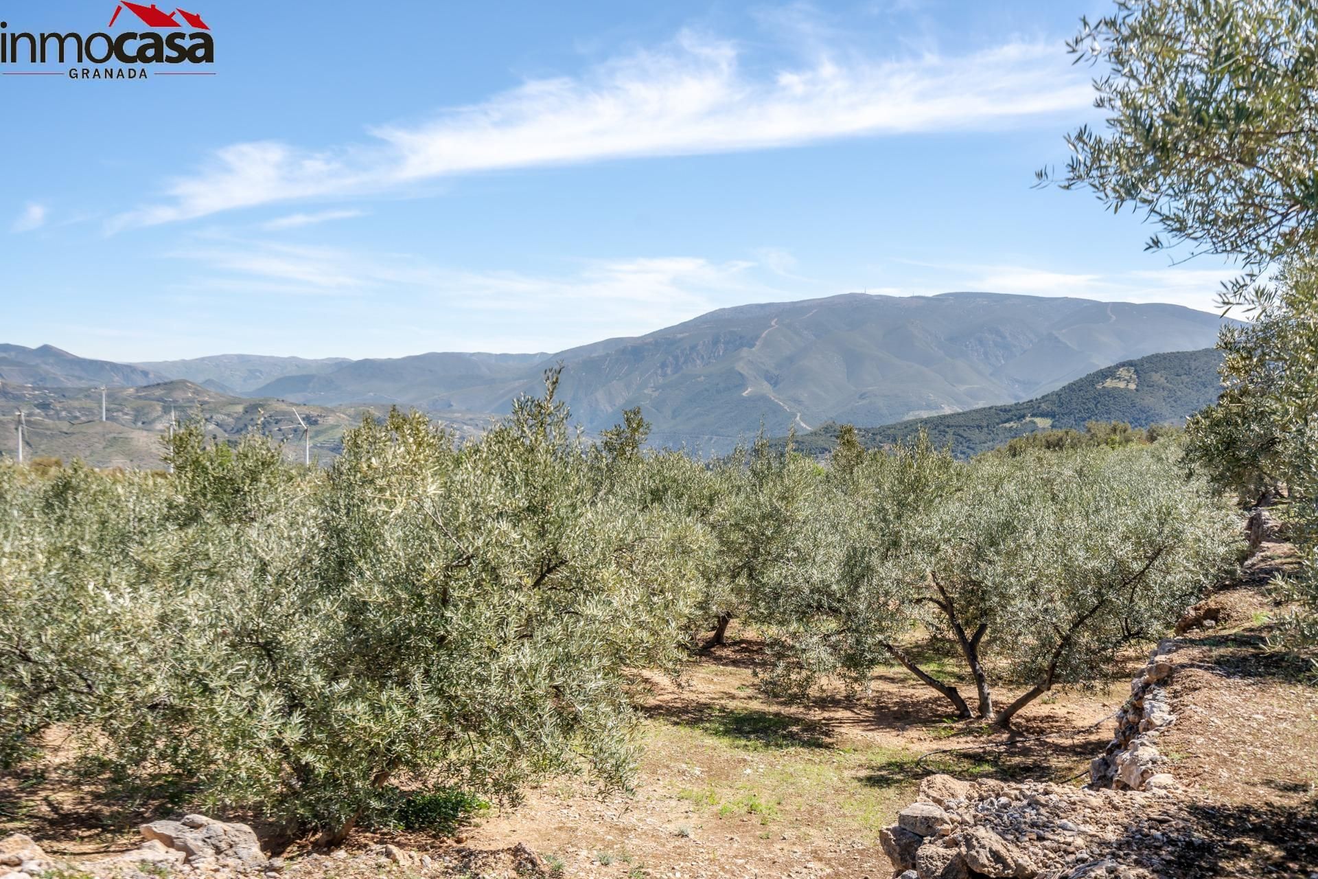 Terreno en venta en Lúcar