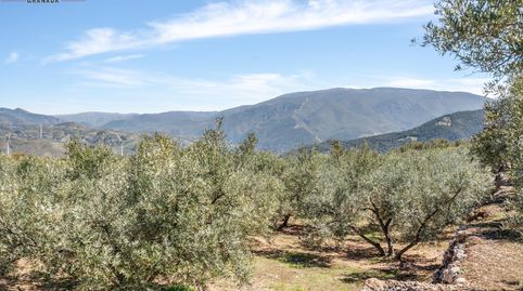 Foto 3 von Grundstücke zum Verkauf in Lúcar, Almería