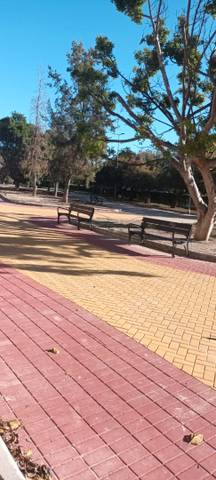 Local comercial en Venta en Babel