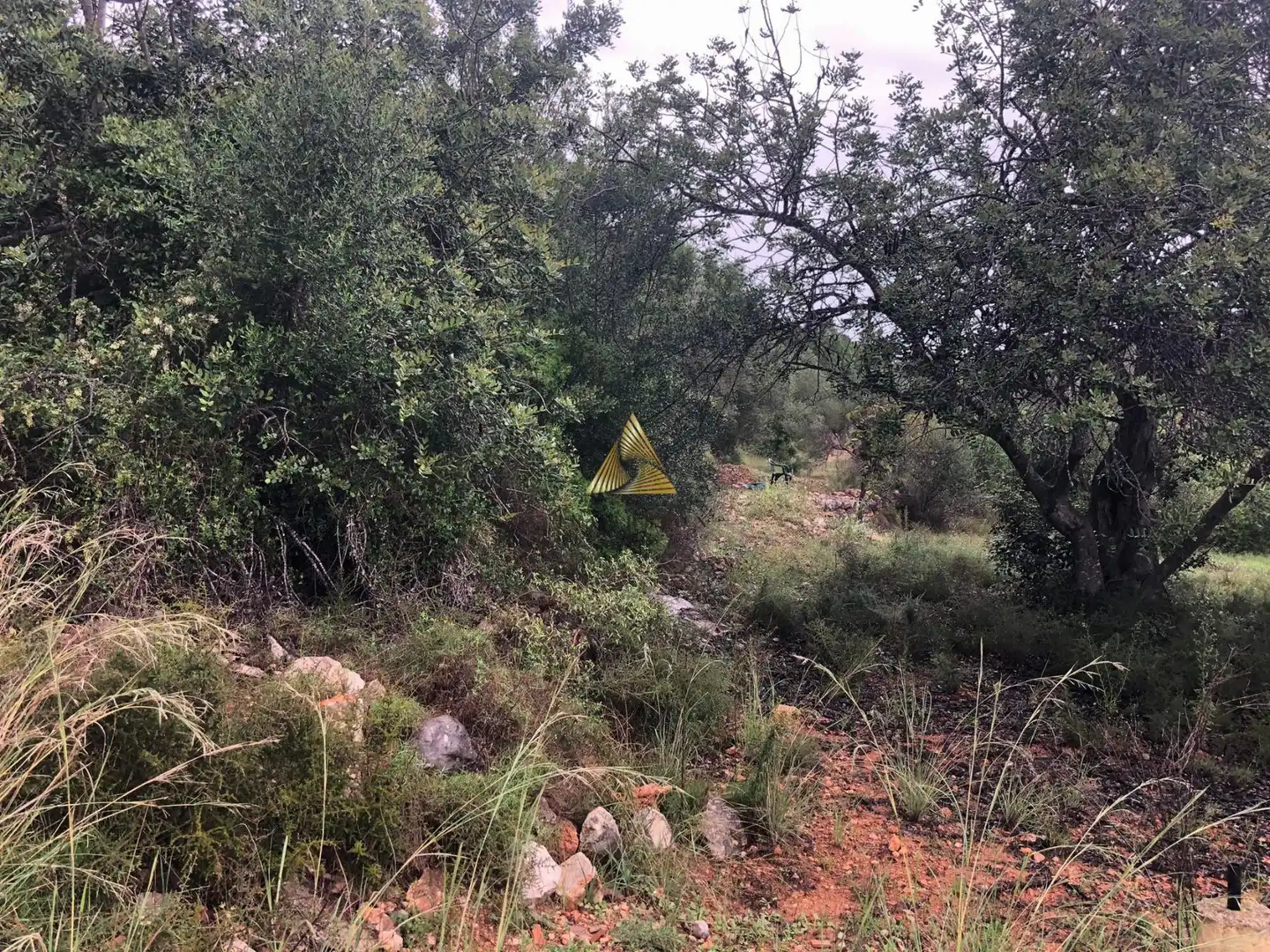 Lands and plots for sale in Las Atalayas - Urmi - Cerro de Mar, imagen 13