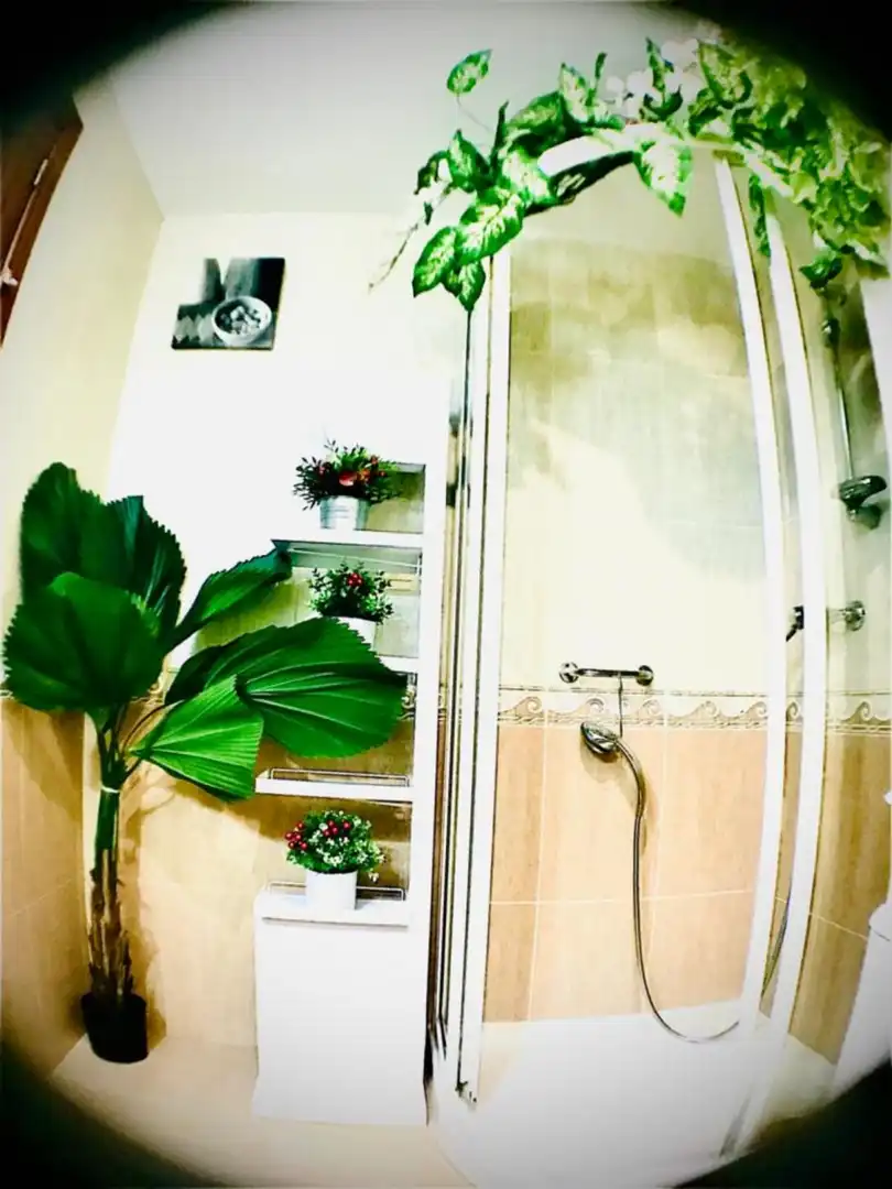 Apartments for rent in Los Cármenes