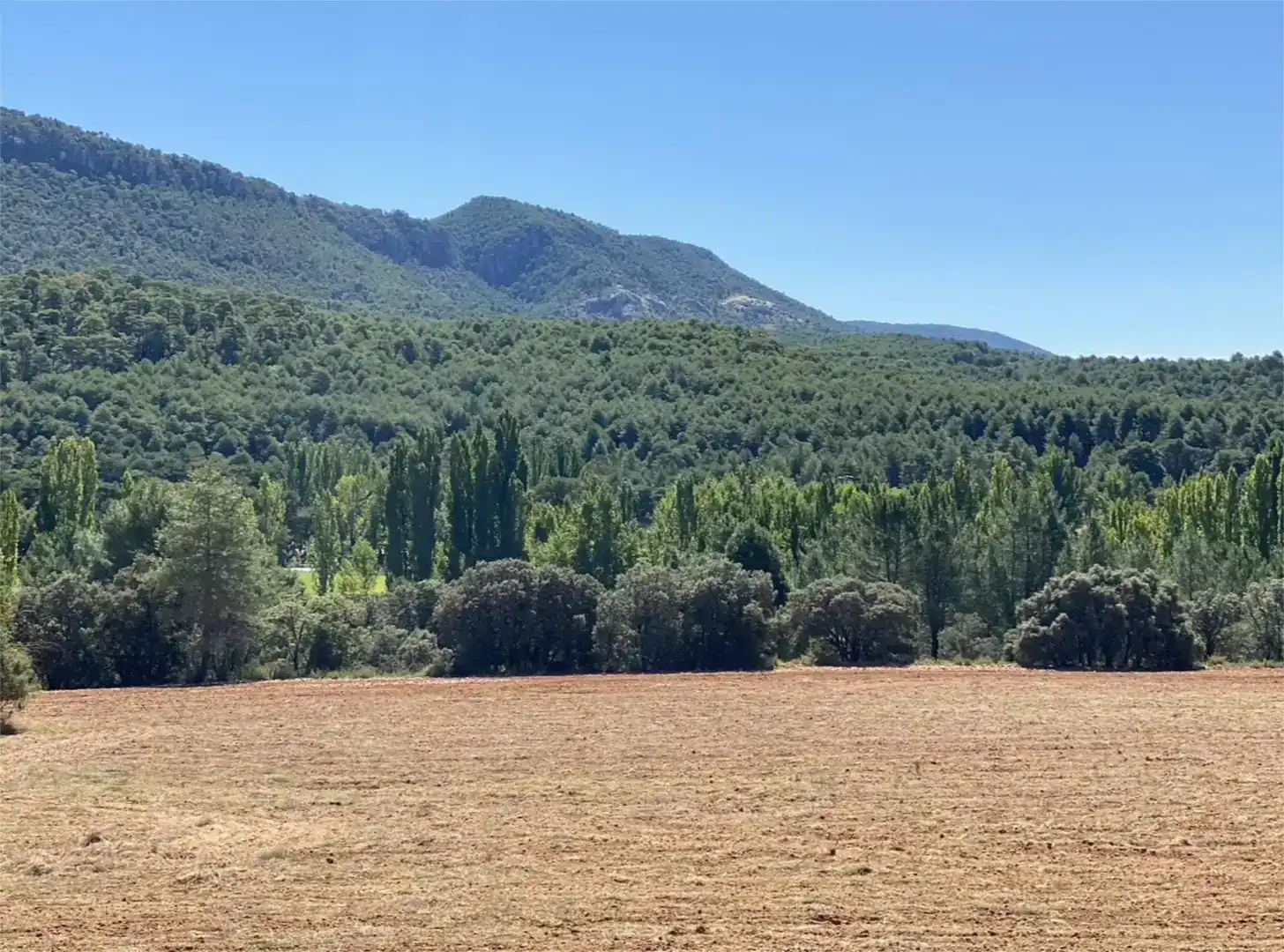 Land for sale in Cañamares