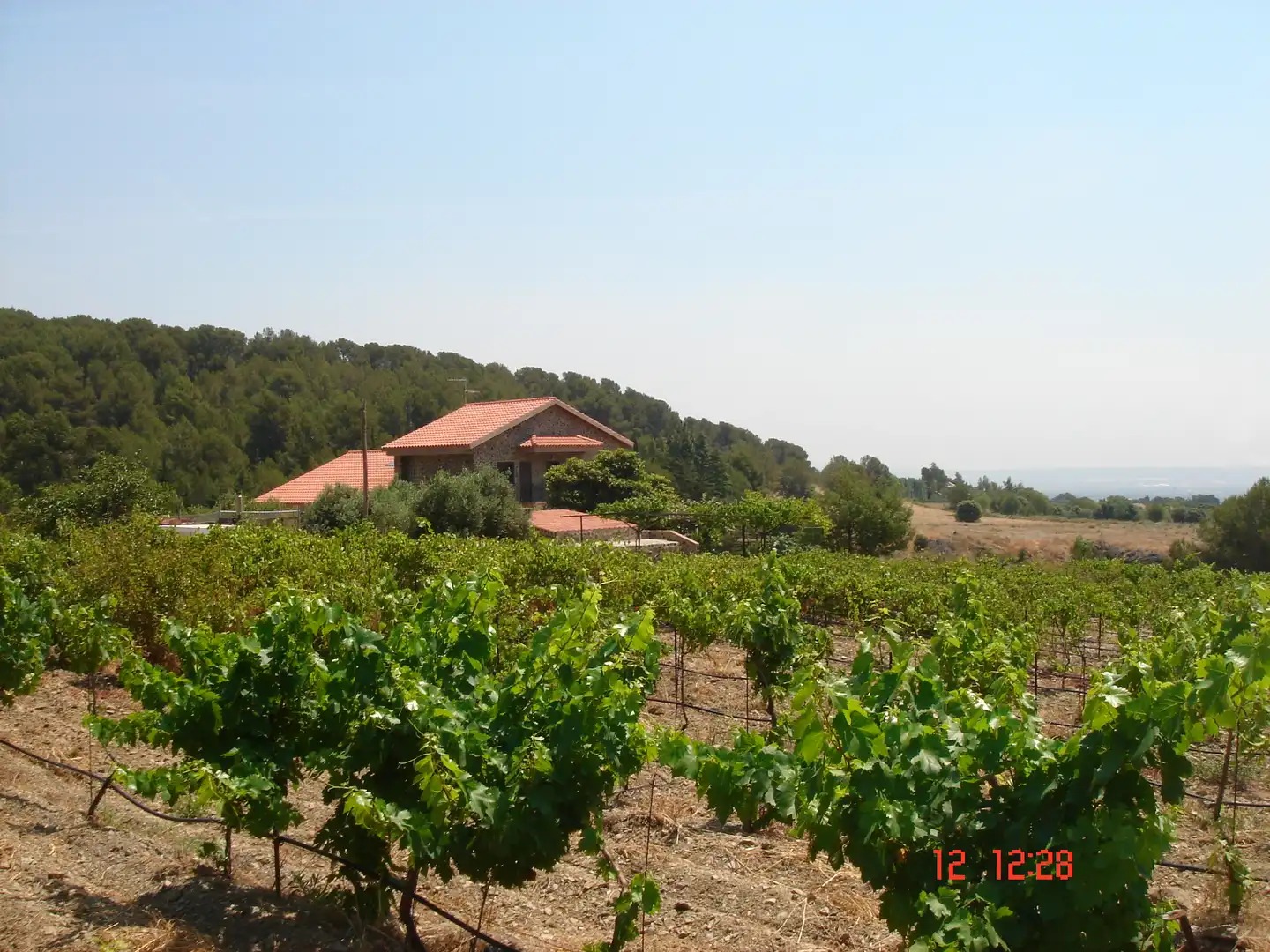 Finca rústica en venta en Almoster con Calefacción, Terraza y Piscina