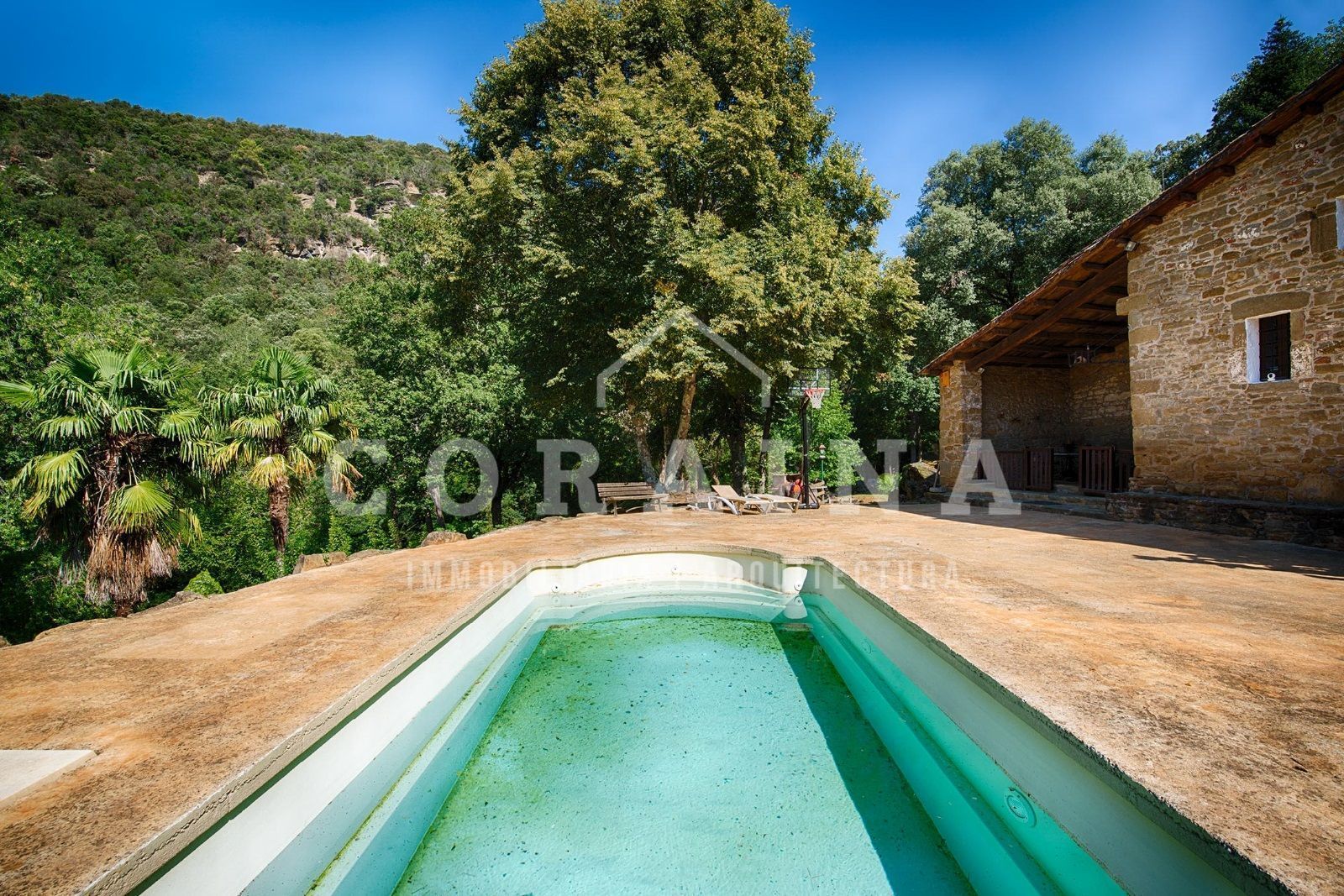 Swimming pool of House or chalet for sale in Sant Aniol de Finestres  with Swimming Pool