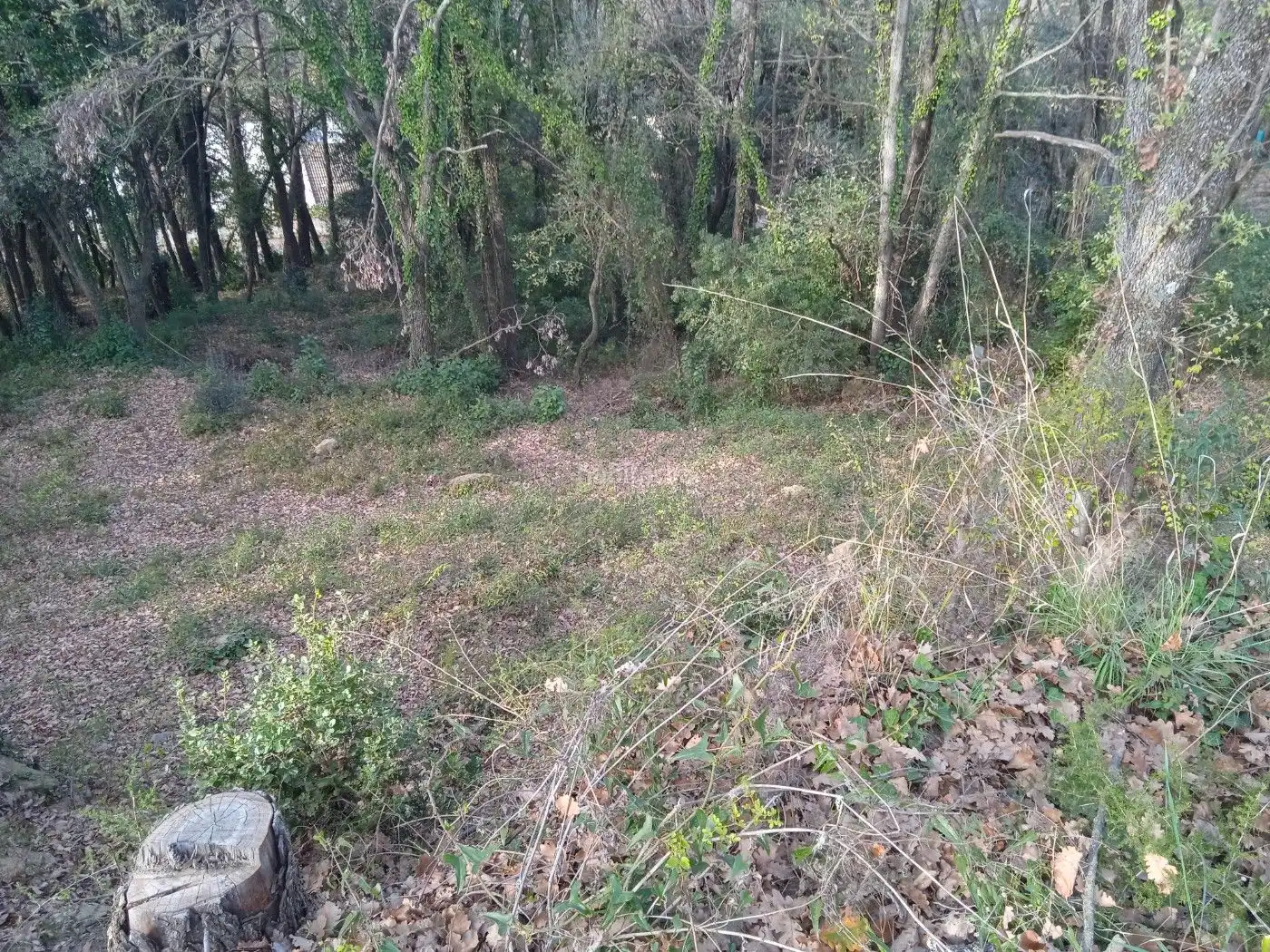 Residential land for sale in Avinguda Catalunya 29, imagen 3